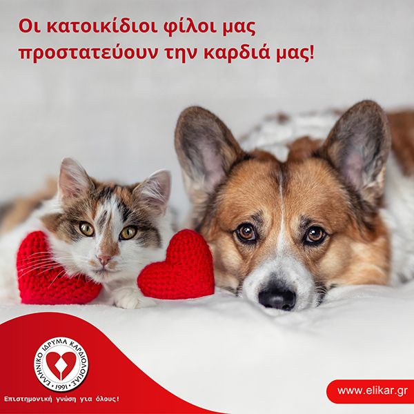 Οι κατοικίδιοι φίλοι μας, προστατεύουν την καρδιά μας!